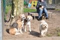 Afb_20170409w (5)